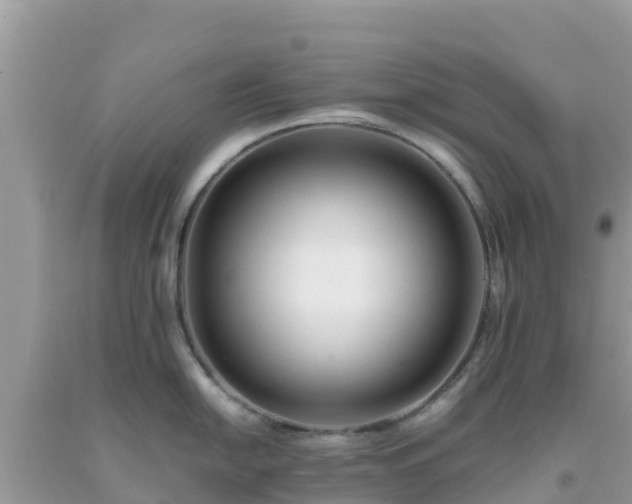 X0000093771054200710231309