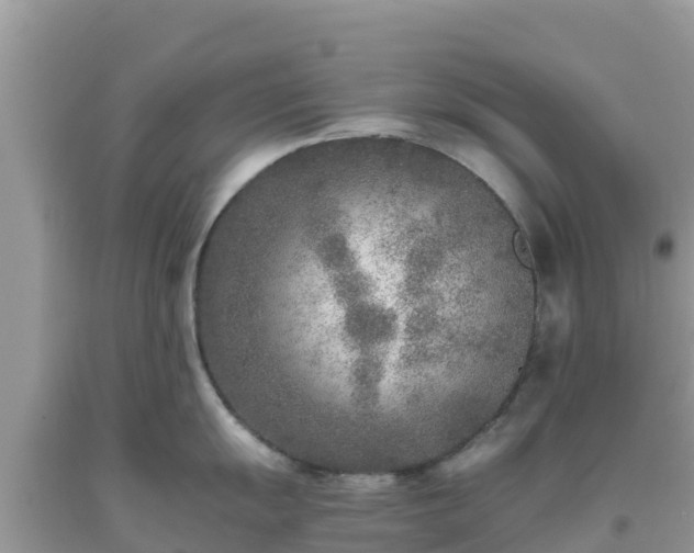 X0000093771055200710231309