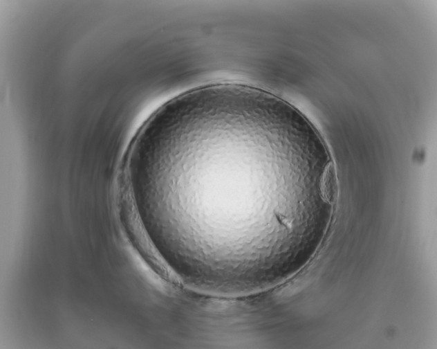 X0000093771056200710231309