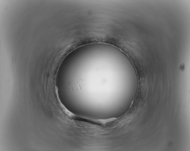 X0000093771057200710231308