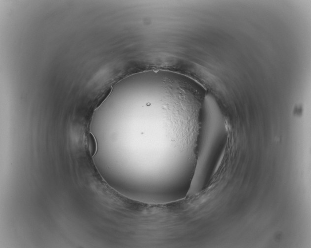 X0000093771058200710231308