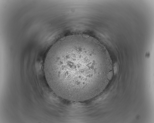 X0000093771059200710231308