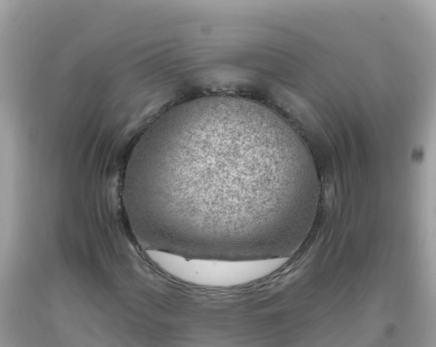 X0000093771060200710231308