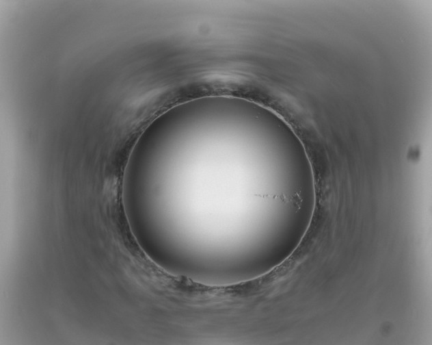 X0000093771061200710231308