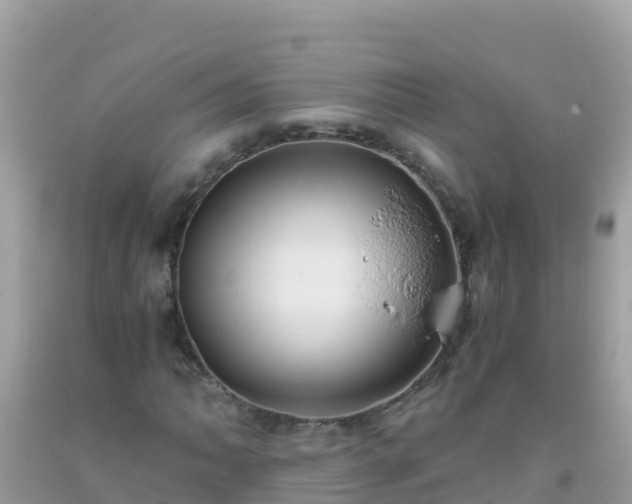 X0000093771062200710231308