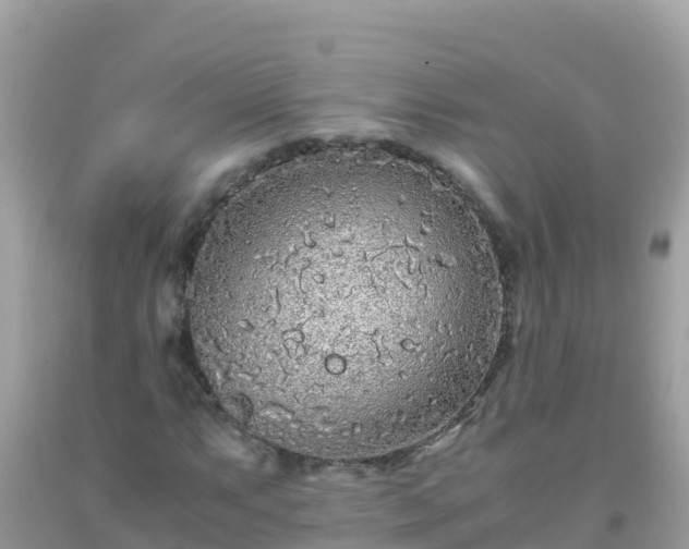 X0000093771063200710231308