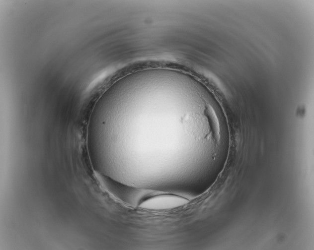 X0000093771064200710231308