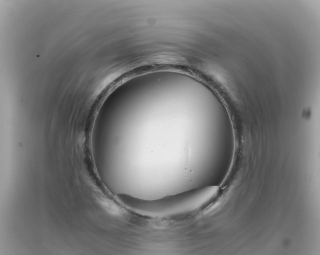 X0000093771065200710231308