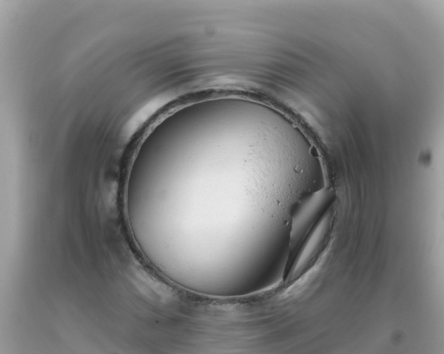 X0000093771066200710231308