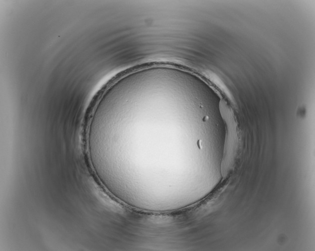 X0000093771068200710231308