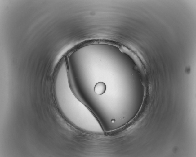 X0000093771069200710231308