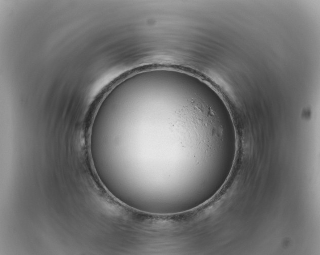 X0000093771070200710231308