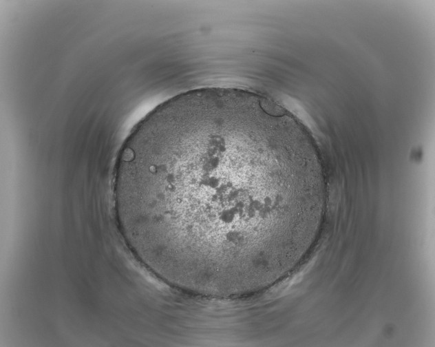 X0000093771071200710231308