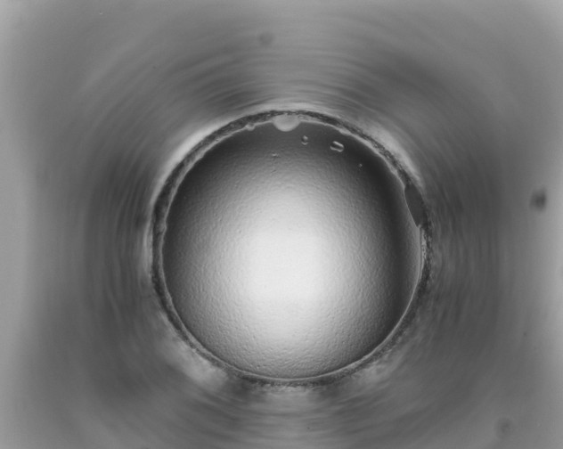 X0000093771076200710231308