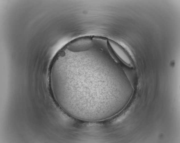 X0000093771077200710231308