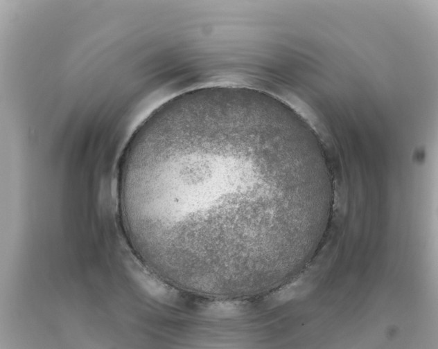 X0000093771078200710231308