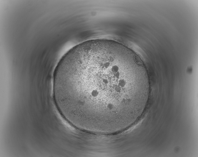 X0000093771079200710231308