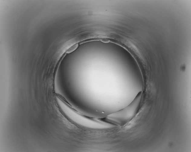 X0000093771081200710231307