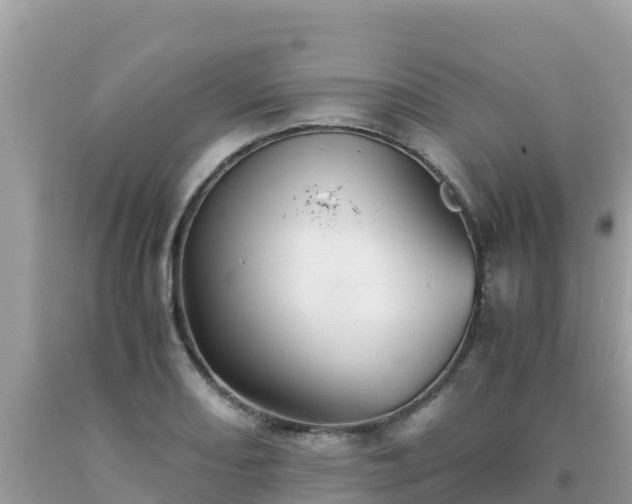 X0000093771082200710231307