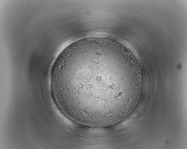 X0000093771083200710231307