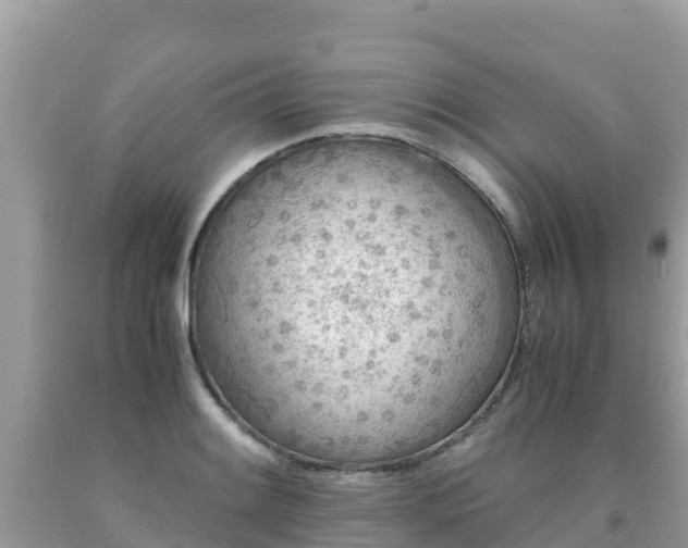 X0000093771084200710231307