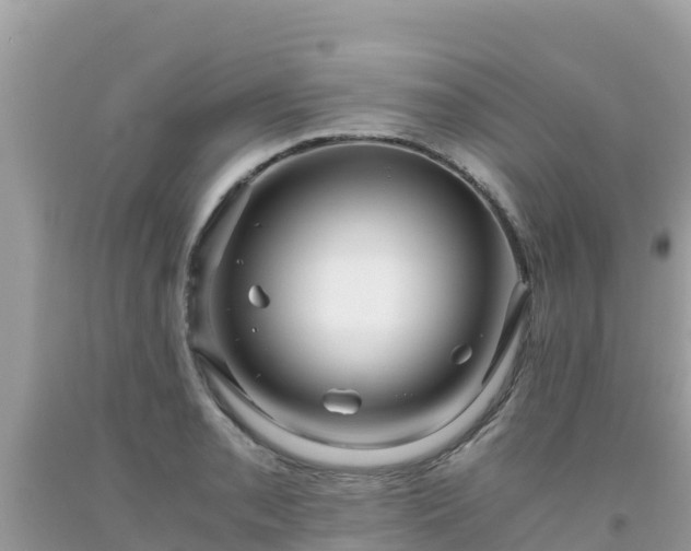 X0000093771085200710231307