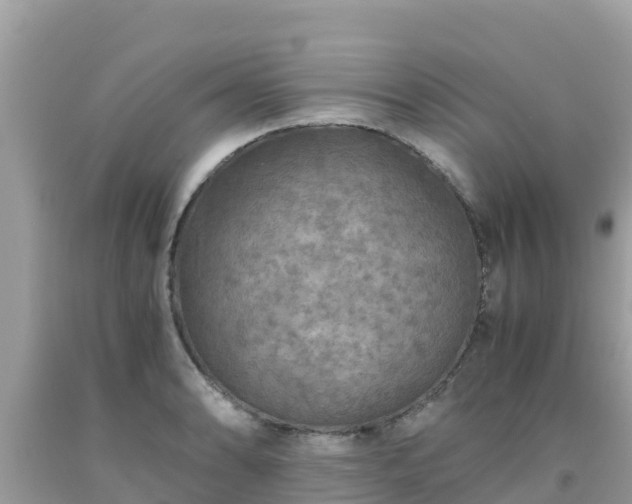 X0000093771086200710231307