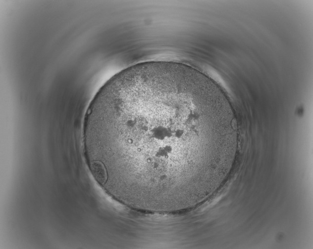 X0000093771087200710231307