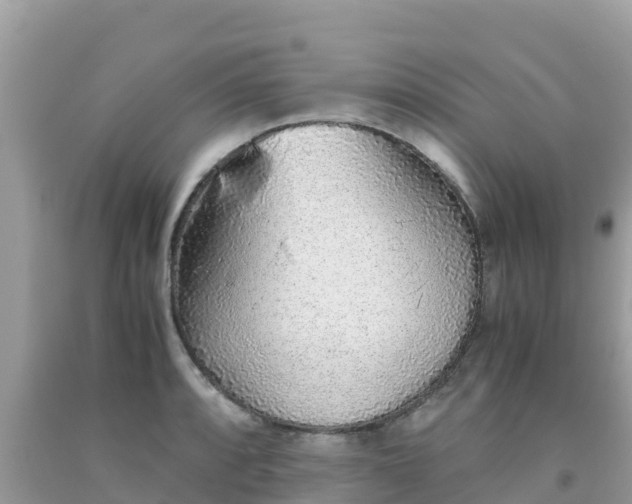 X0000093771088200710231307