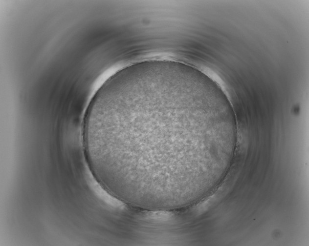 X0000093771090200710231307