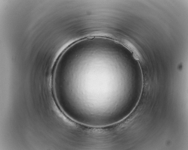 X0000093771092200710231307