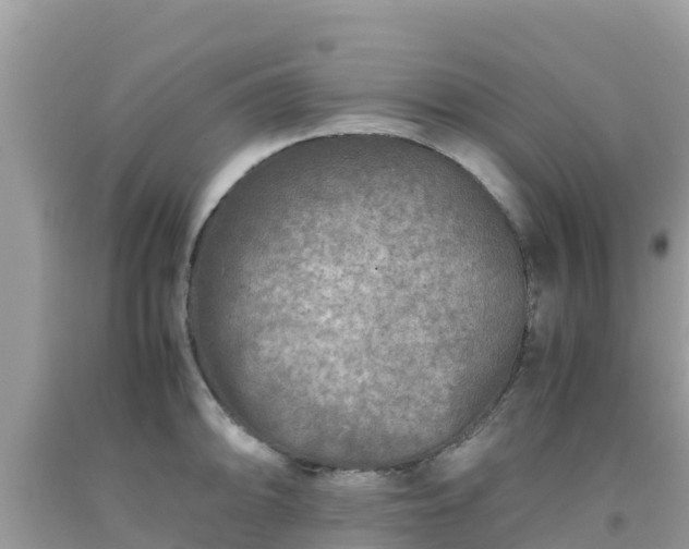 X0000093771094200710231307