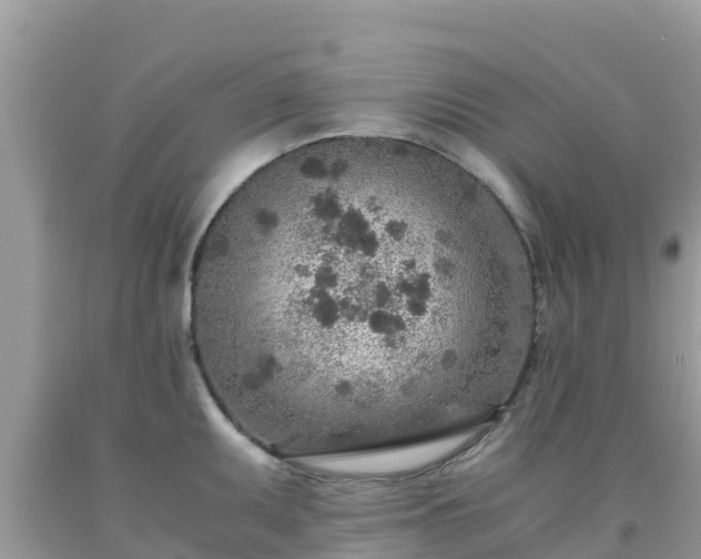 X0000093771095200710231307