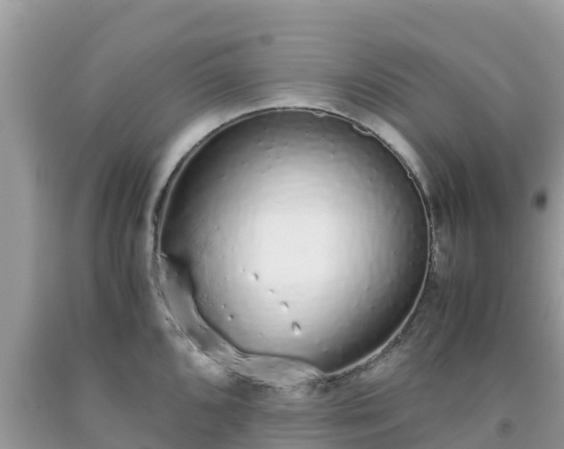 X0000093771096200710231307