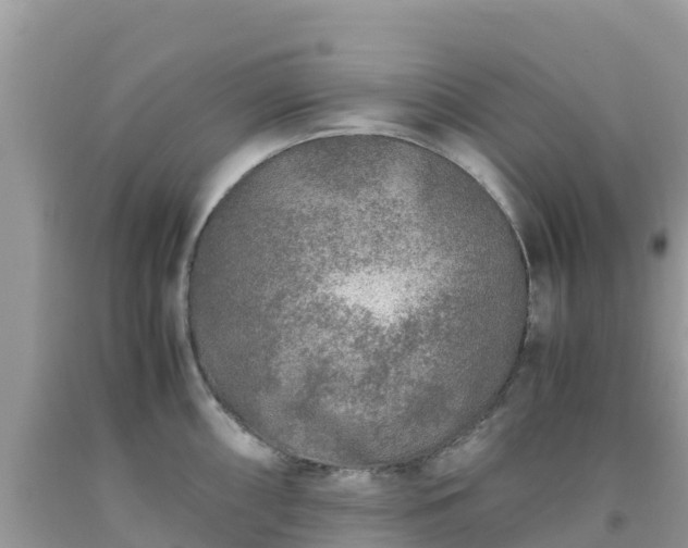 X0000093771098200710231307