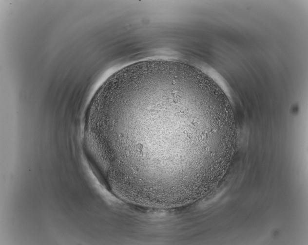 X0000093771099200710231307