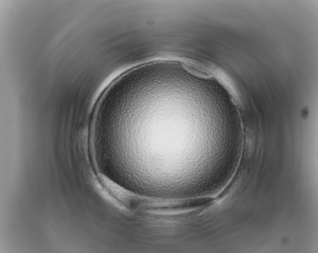 X0000093771100200710231307