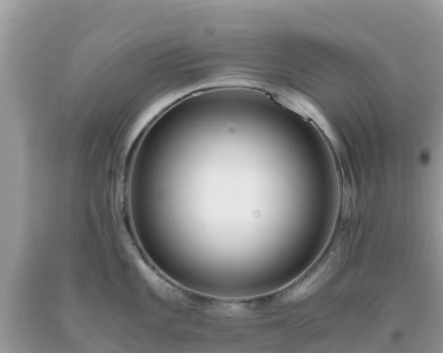 X0000093771101200710231307