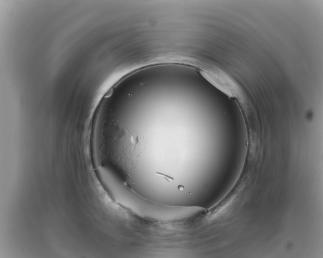 X0000093771102200710231307