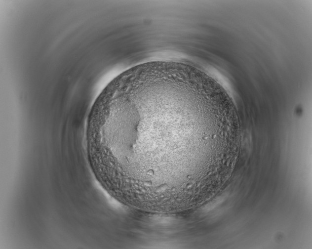 X0000093771103200710231307