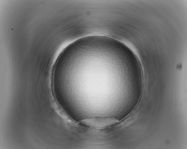 X0000093771104200710231307