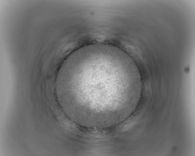 X0000093771105200710231307