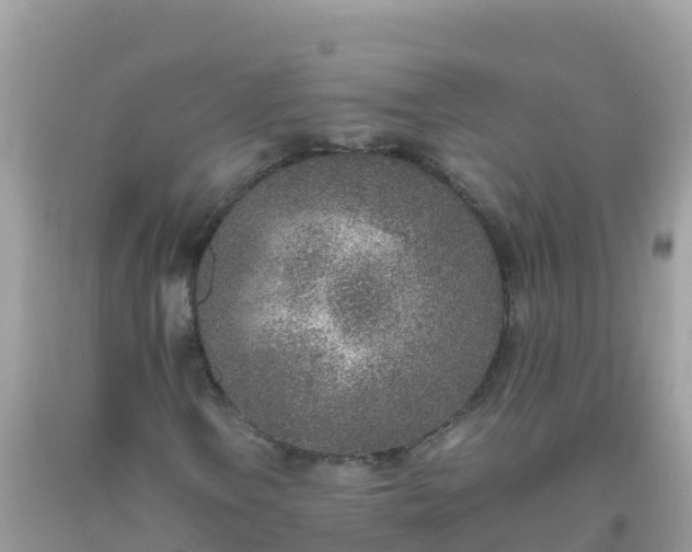 X0000093771106200710231307