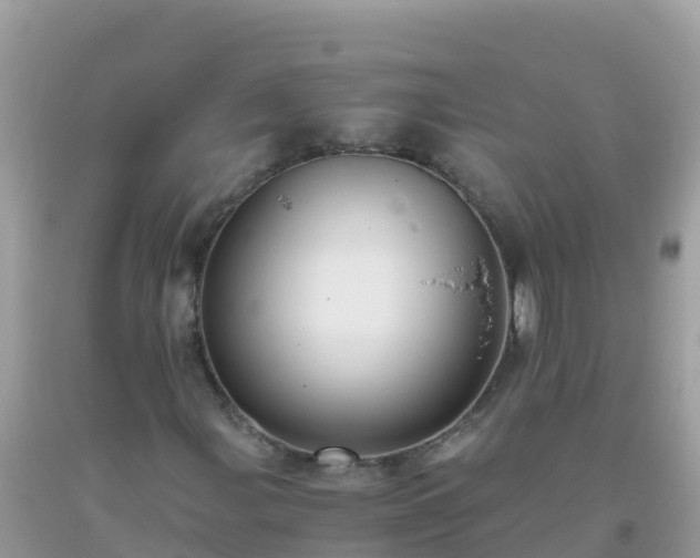 X0000093771107200710231307