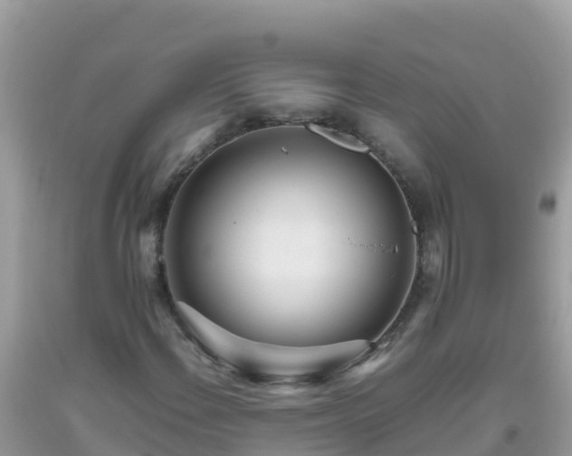 X0000093771108200710231307