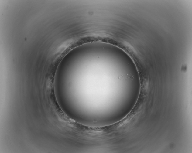 X0000093771110200710231307