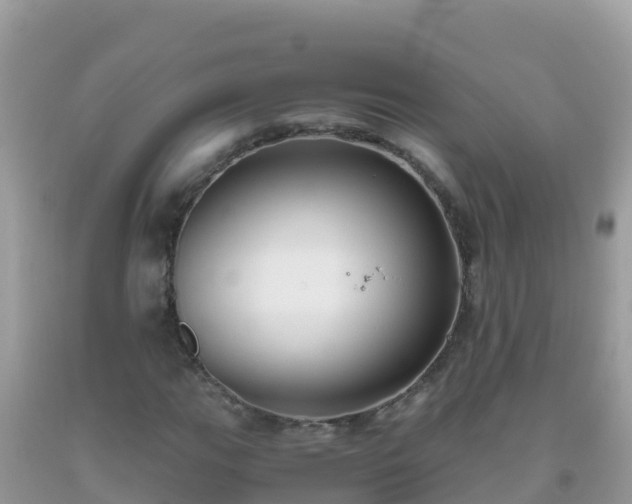 X0000093771111200710231307