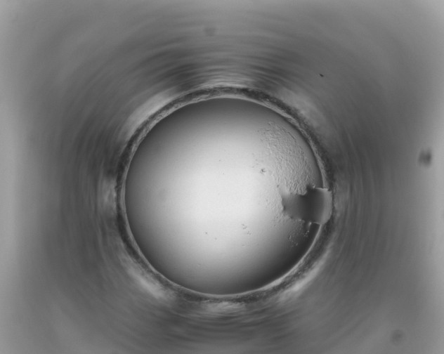 X0000093771113200710231307