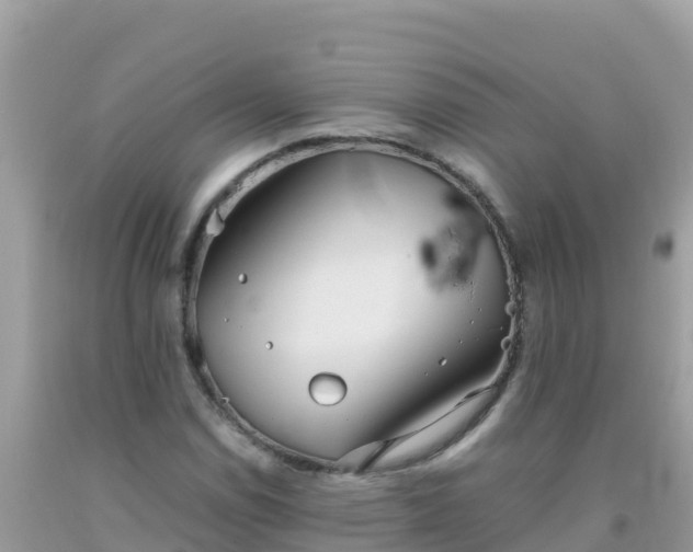 X0000093771114200710231307