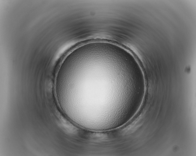 X0000093771115200710231307